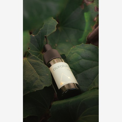 S＆Iが撮影した「:albumName」の写真