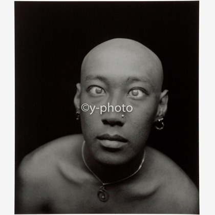 y-photoが撮影した「:albumName」の写真