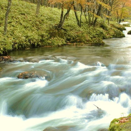 有光こうじ写真事務所が撮影した「:albumName」の写真