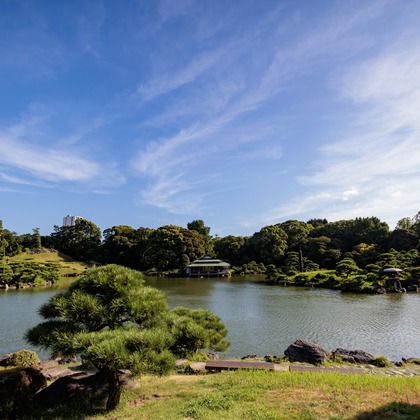 photobeehiveが撮影した店舗/オフィス/サロン撮影/料理撮影/商品/物撮り/不動産/竣工の写真