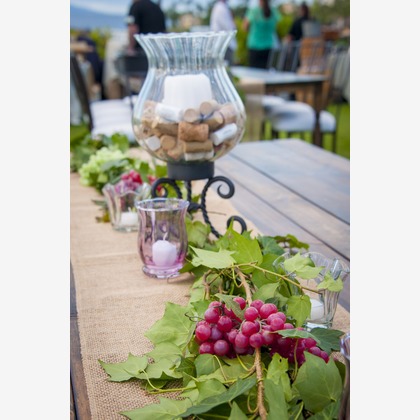 Willow Photoが撮影した「:albumName」の写真