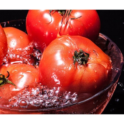 松本写真事務所が撮影した「:albumName」の写真