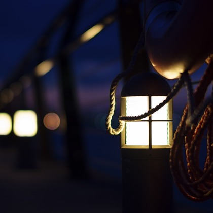 岡村公平が撮影したその他の写真