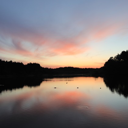 TATEZOUが撮影したイベント/スナップ撮影の写真