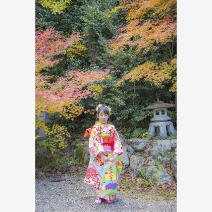 PHOTO 笑福が撮影した「:albumName」の写真
