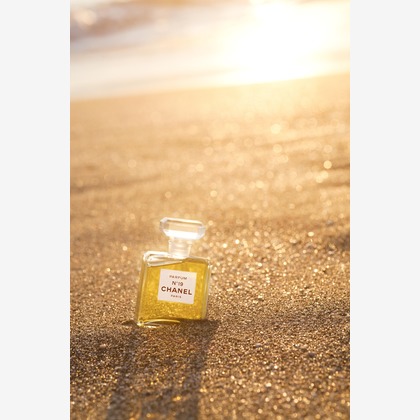 高橋　良が撮影した「:albumName」の写真