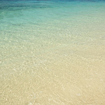 鶴巻直満(T-PHOTO OFFICE)が撮影した「:albumName」の写真