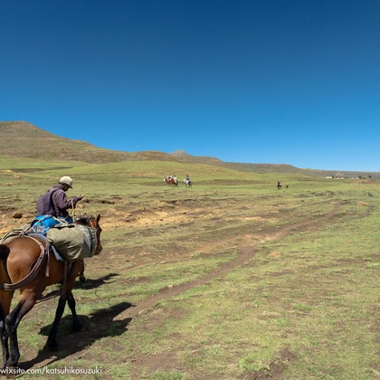 Katsuhiko Suzukiが撮影した「:albumName」の写真