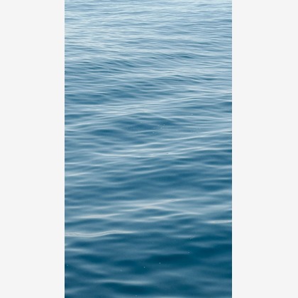 大坪幹武が撮影したウェディングや家族、ビジネスの写真