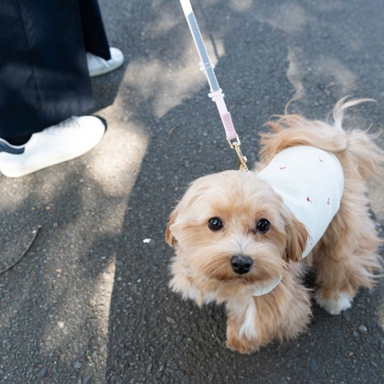 千葉が撮影した「:albumName」の写真