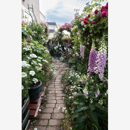 オフィス 芦野が撮影した「:albumName」の写真