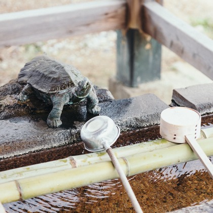 Raita Kuwahara photographyが撮影した前撮り/後撮り出張撮影の写真