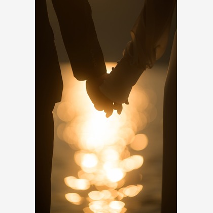 和Photographが撮影した「:albumName」の写真