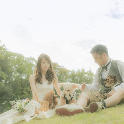 阿部写真館　大阪本町 靭公園前が撮影した「:albumName」の写真