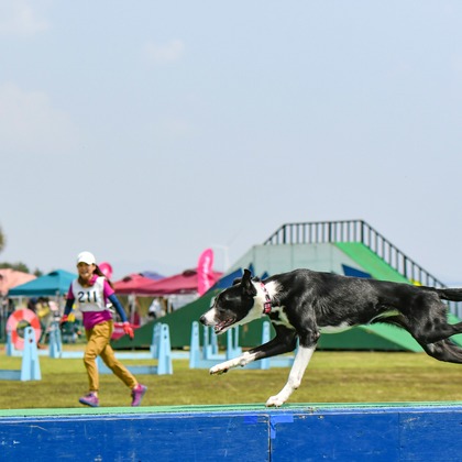 スタジオファンタスが撮影した「:albumName」の写真