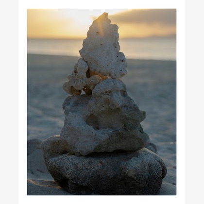 森位敦樹が撮影した「:albumName」の写真