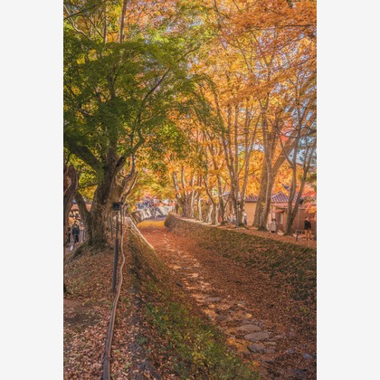 登 将紀が撮影したその他/イベント/スナップ撮影の写真