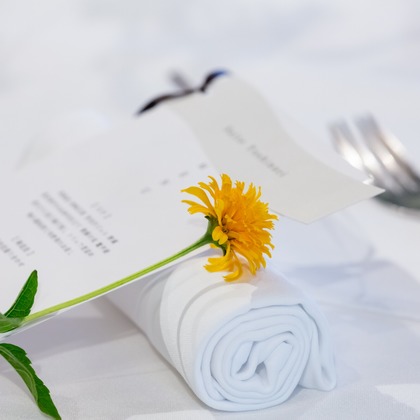 大橋　道裕が撮影した「:albumName」の写真