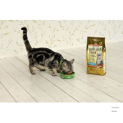 クマが撮影した「ペット撮影」の写真