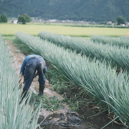 橋本　直樹が撮影した「:albumName」の写真