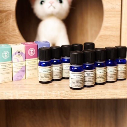 Yusuke Usuiが撮影した店舗/オフィス/サロン撮影/商品/物撮り/人物撮影の写真