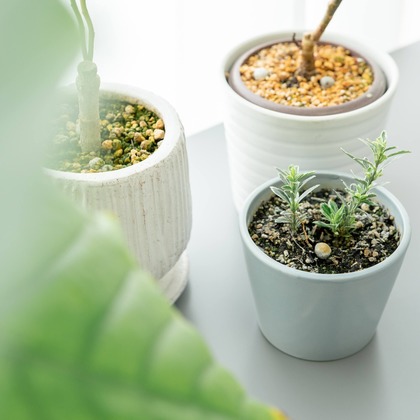 studio cactusが撮影した店舗/オフィス/サロン撮影の写真