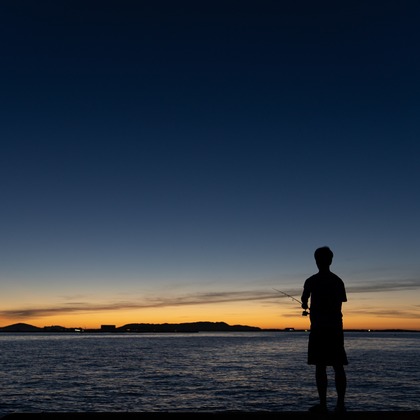 ハネムーンアベニューが撮影したその他の写真