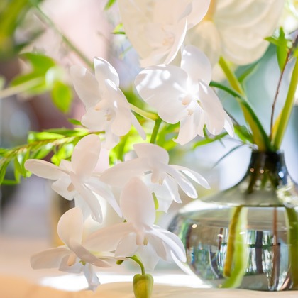 大橋　道裕が撮影した「:albumName」の写真