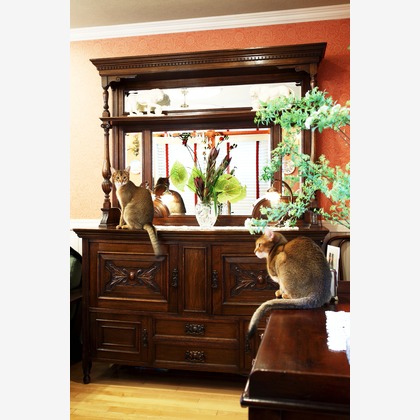 森安　照が撮影した「:albumName」の写真