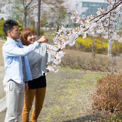 studio HATOYAが撮影した「:albumName」の写真