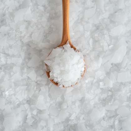 studio cactusが撮影した「:albumName」の写真