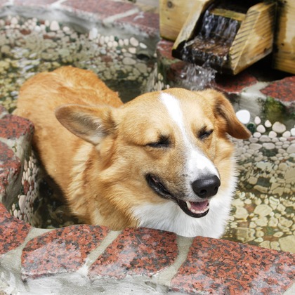 森安　照が撮影した「:albumName」の写真