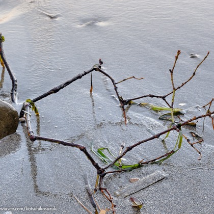 Katsuhiko Suzukiが撮影した「:albumName」の写真