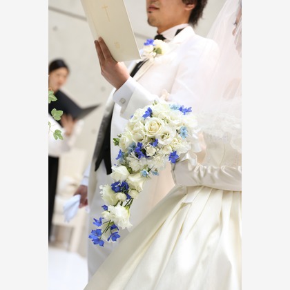 Photo of :albumName taken by SATOMI NAKAGAWA