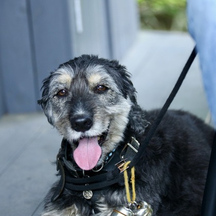 TSD officeが撮影した「:albumName」の写真