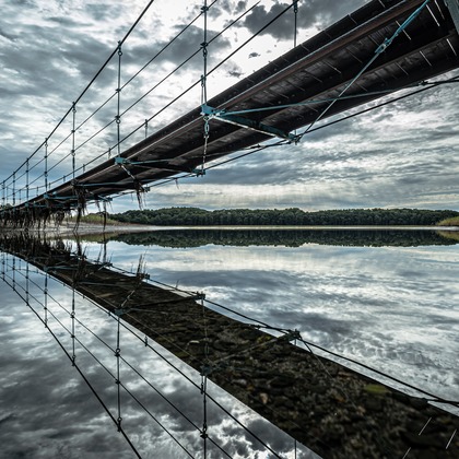 高木勇斗が撮影したその他の写真