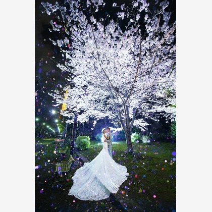 8StarWeddingが撮影した「東京タワー」の写真