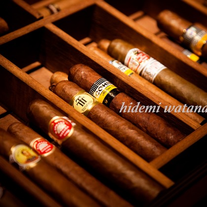 Silver Back Studioが撮影した「:albumName」の写真