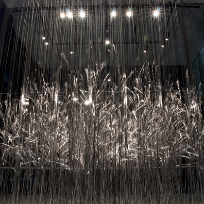 畔上咲子が撮影したウェディングや家族、ビジネスの写真