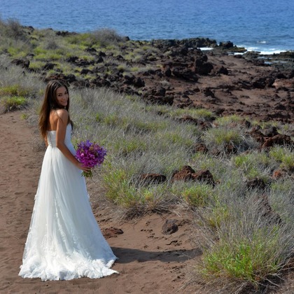 今林 浩一が撮影した「:albumName」の写真