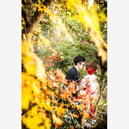 阿部写真館　大阪本町 靭公園前が撮影した「:albumName」の写真