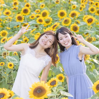 大辻尋稔が撮影した「:albumName」の写真