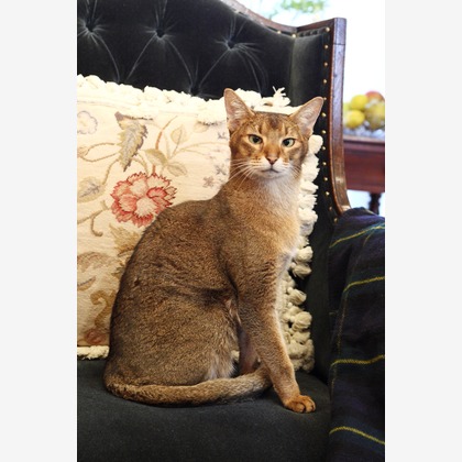 森安　照が撮影した「:albumName」の写真