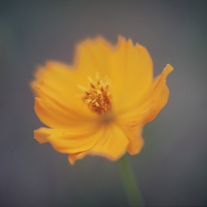 Photo BASEが撮影した「:albumName」の写真