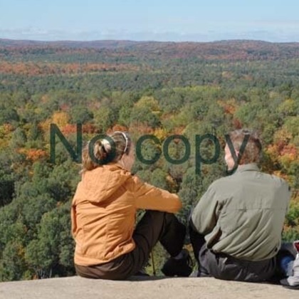 有限会社フリーディメンション　田中勝巳が撮影した「:albumName」の写真