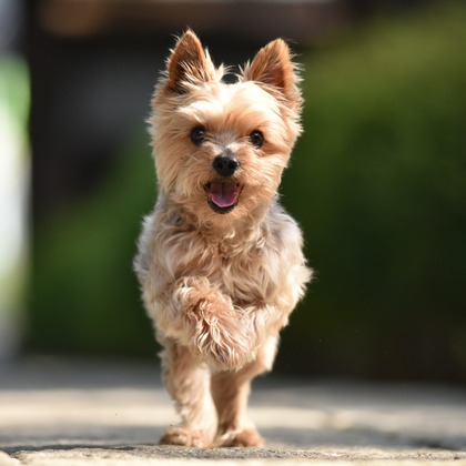 大熊和輝が撮影したウェディングや家族、ビジネスの写真