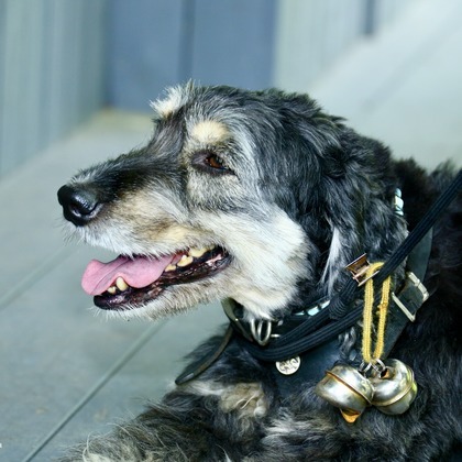 TSD officeが撮影した「:albumName」の写真