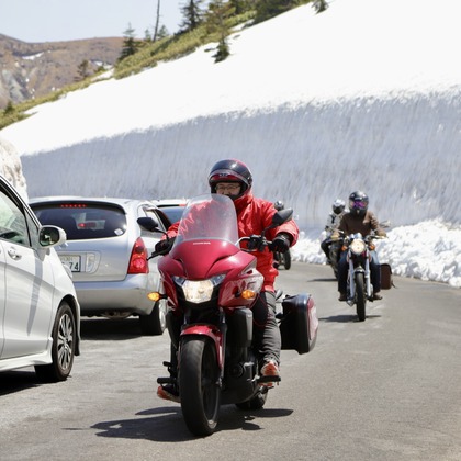 TSD officeが撮影したウェディングや家族、ビジネスの写真