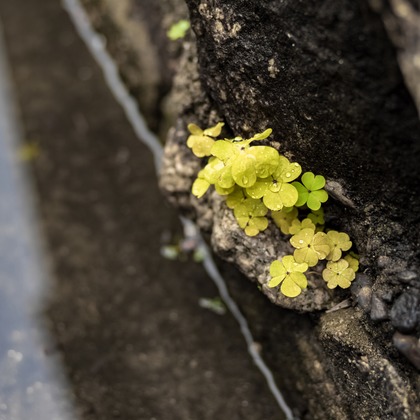 フォトスタジオ　ちっくたっくが撮影したその他の写真