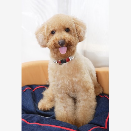 森安　照が撮影した「:albumName」の写真